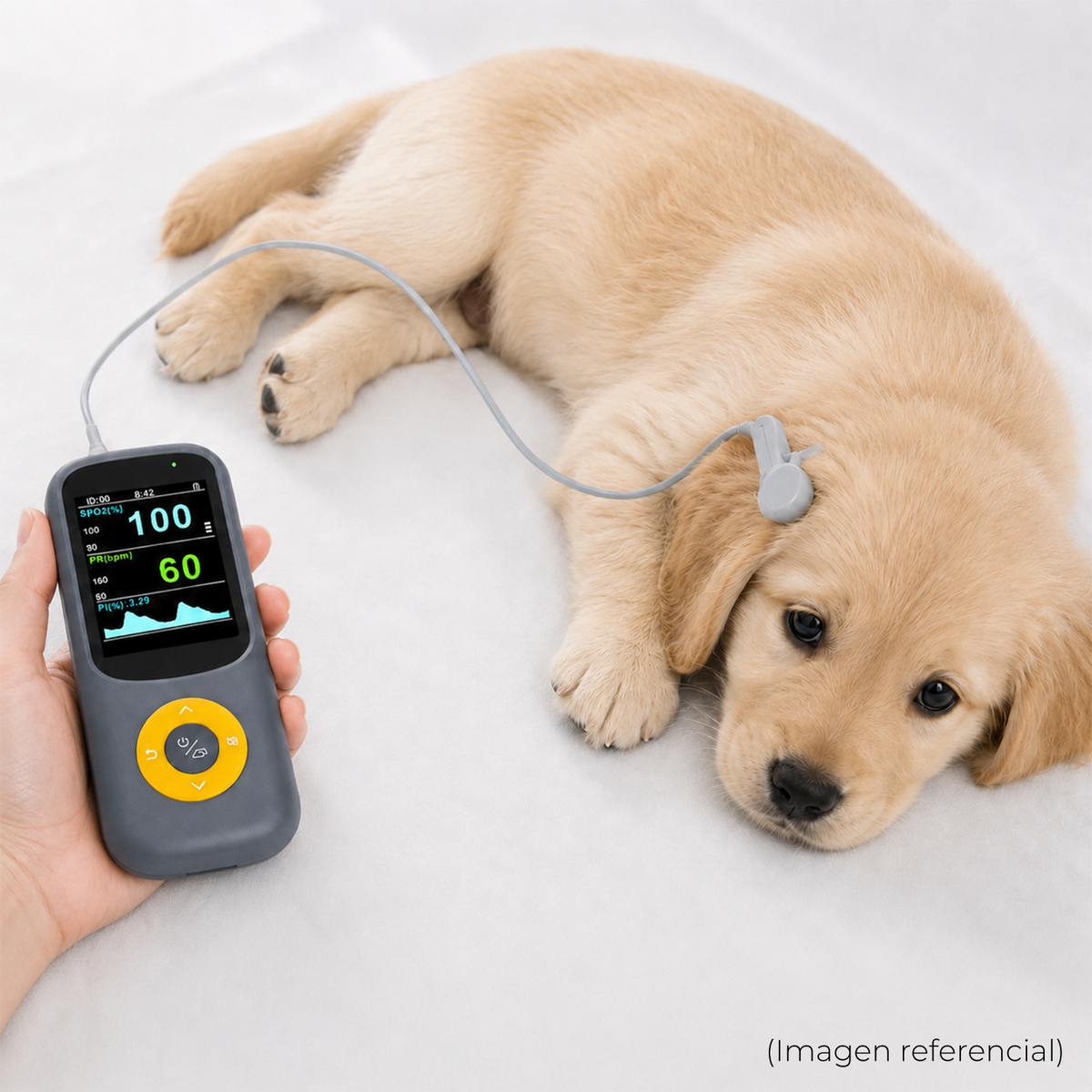 V-Care Pocket · Oxímetro Veterinario Portátil 2.8"